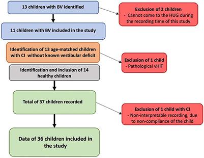 Development of a new clinical tool to evaluate the balance abilities of children with bilateral vestibular loss: The Geneva Balance Test